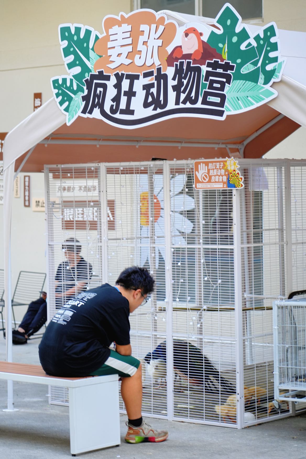 文章插图